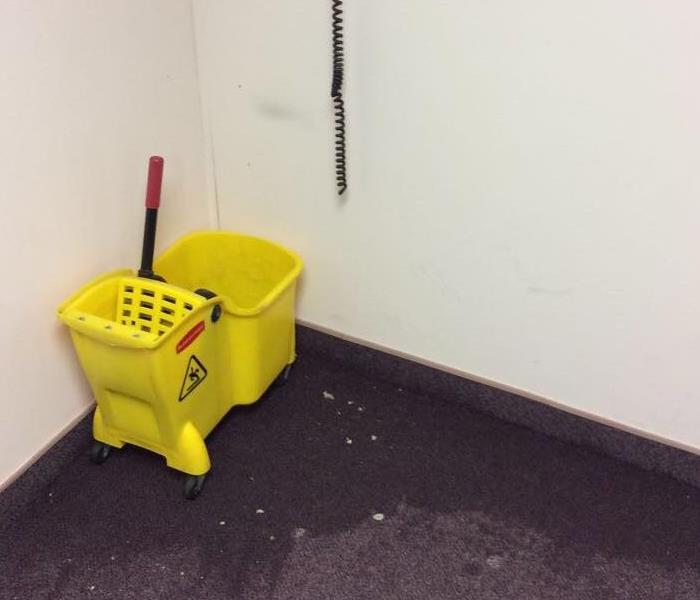 Mop bucket sitting on wet carpet in an office