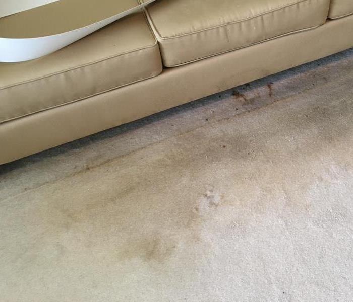 Dirty carpet in front of couch in living room