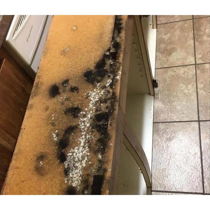 Mold on cabinets
