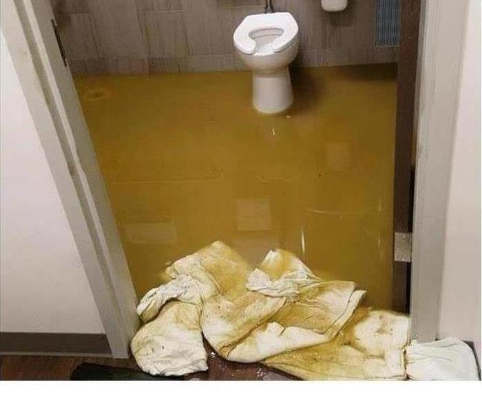 Sewage that overflowed the toilet